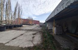 Teren intravilan in Oncea