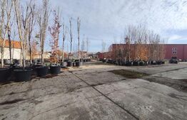 Teren intravilan in Oncea