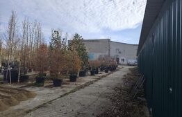 Teren intravilan in Oncea