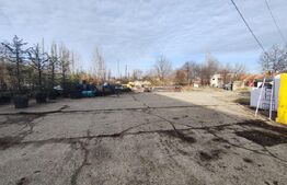 Teren intravilan in Oncea