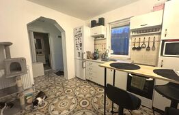 Casa Mică și Călduroasă, Dealuri Oradea, 36 mp