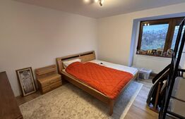 Apartament 3 dormitoare, renovat și mobilat complet,  etaj 1,  Centru Civic