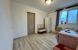 Apartament cu 2 camere - zona Rogerius