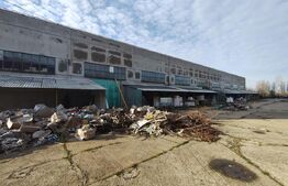 De inchiriat hala cu suprafata utila de 2534mp situata pe un teren de 10062mp