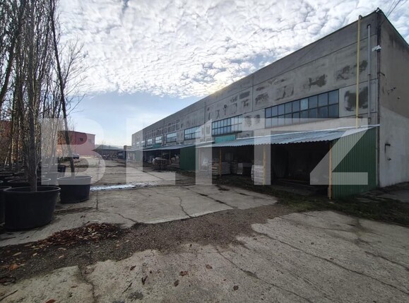 Spațiu industrial de închiriat Oncea - 184599SII | BLITZ Oradea | Poza11