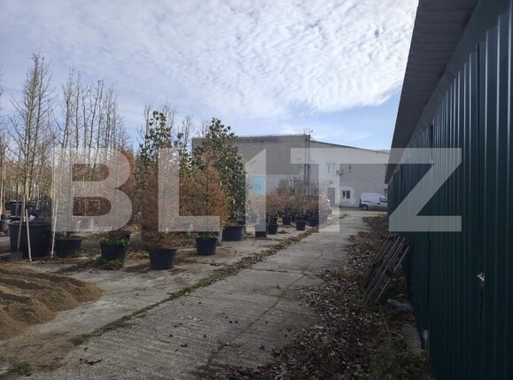 Spațiu industrial de închiriat Oncea - 184599SII | BLITZ Oradea | Poza16