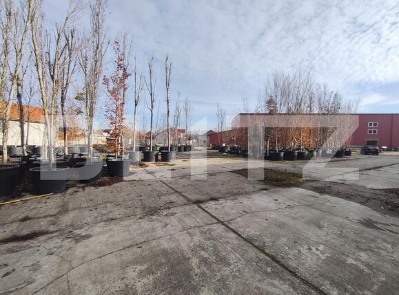 Spațiu industrial de închiriat Oncea - 184599SII | BLITZ Oradea | Poza18