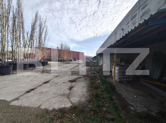 Spațiu industrial de închiriat Oncea - 184599SII | BLITZ Oradea | Poza10