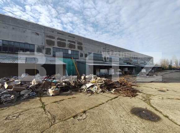 Spațiu industrial de închiriat Oncea - 184599SII | BLITZ Oradea | Poza5