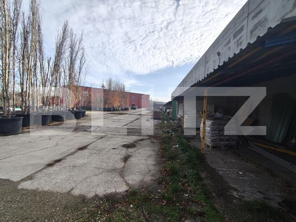 Spațiu industrial de închiriat Oncea - 184599SII | BLITZ Oradea | Poza10