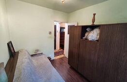 Apartament 3 camere la etajul 1 renovabil in Nufarul