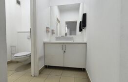 Spatiu comercial ultracentral, Republicii, stradal, P+1+subsol, 210 mp