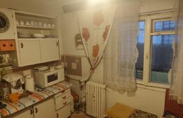 Apartament cu 3 camere, 2 bai, 2 balcoane, renovabil, 67 mp, zona - Nufarul