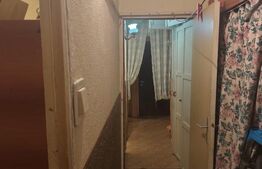 Apartament cu 3 camere, 2 bai, 2 balcoane, renovabil, 67 mp, zona - Nufarul