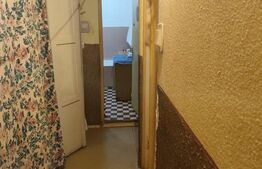 Apartament cu 3 camere, 2 bai, 2 balcoane, renovabil, 67 mp, zona - Nufarul