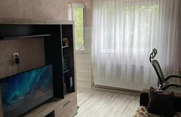 Garsoniera de vanzare, 20 mp, zona Velenta