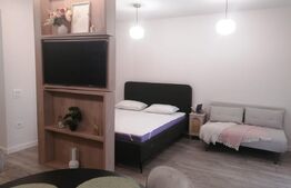 Apartament studio de vanzare + loc de parcare, Prima Onestilor