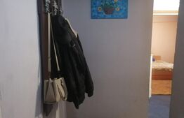 Apartament 2 camere, cartierul Iosia, zona Onestilor