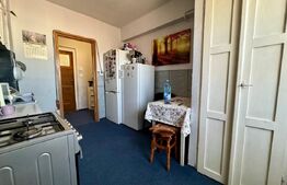 Apartament 2 camere, tip D, zona Oneștilor – cartier Ioșia