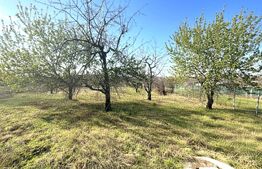 Teren cu dubla-deschidere, Paleu, 1000mp