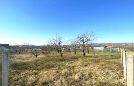 Teren cu dubla-deschidere, Paleu, 1000mp