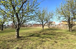 Teren cu dubla-deschidere, Paleu, 1000mp