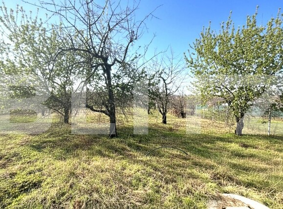 Teren de vânzare Paleu - 187869TV | BLITZ Oradea | Poza2