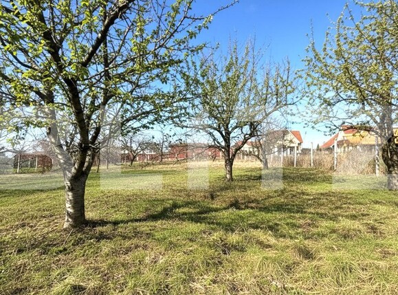 Teren de vânzare Paleu - 187869TV | BLITZ Oradea | Poza1