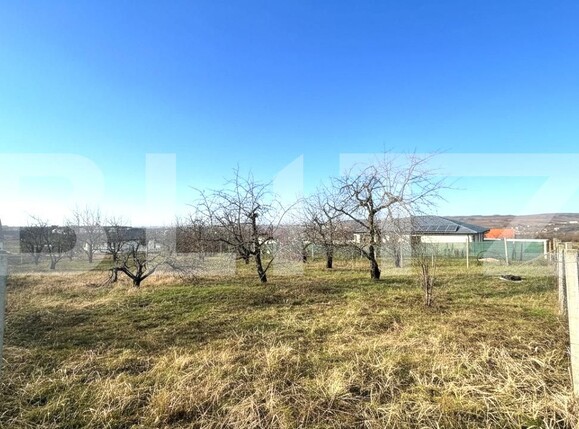 Teren de vânzare Paleu - 187869TV | BLITZ Oradea | Poza3