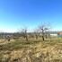 Teren de vânzare Paleu - 187869TV - Poza 1 din 3 | BLITZ Oradea | Poza2
