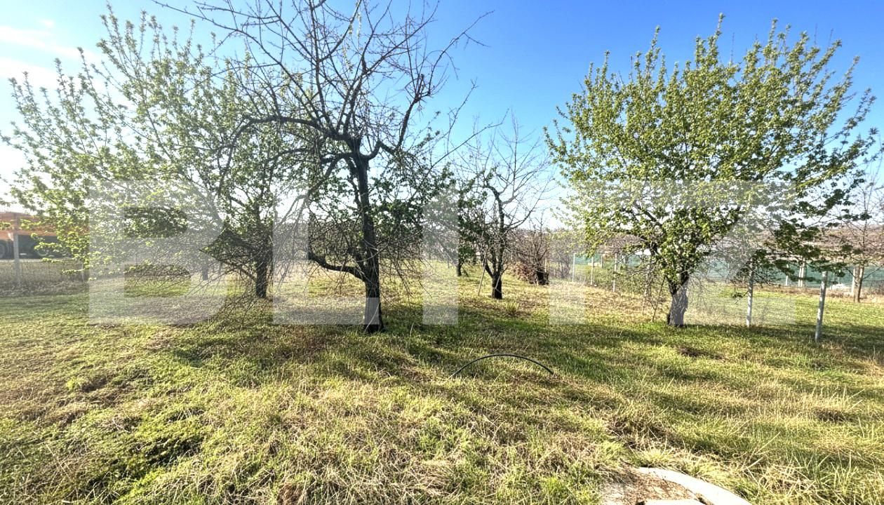 Teren de vânzare Paleu - 187869TV | BLITZ Oradea | Poza2