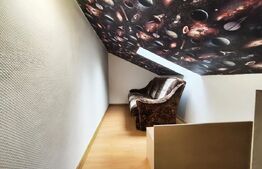 Casa curte comuna, Ultracentral