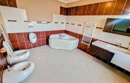 Proprietate Premium – Spațiu și Versatilitate pentru Locuință sau Business