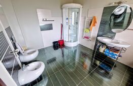 Proprietate Premium – Spațiu și Versatilitate pentru Locuință sau Business