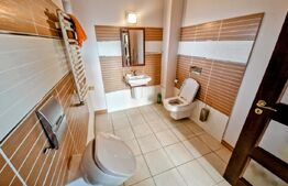 Proprietate Premium – Spațiu și Versatilitate pentru Locuință sau Business