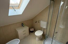 Casa ultracentrala, curte proprie, ultracentral, 160 mp 