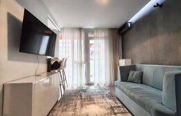 Studio de inchiriere, etaj 3, balcon - Ared