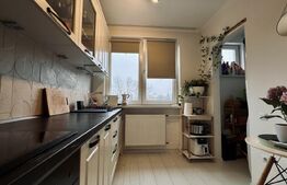 Apartament 4 camere, modern, mobilat și utilat, Dacia 