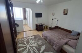 Garsoniera tip D, Aluminei