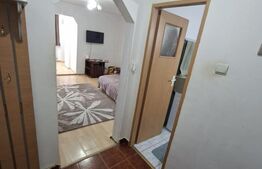 Garsoniera tip D, Aluminei