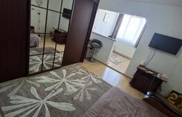 Garsoniera tip D, Aluminei