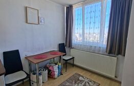 Garsoniera tip D, Aluminei