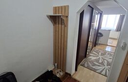 Garsoniera tip D, Aluminei