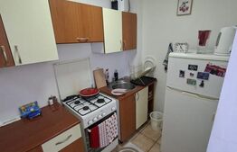 Garsoniera tip D, Aluminei