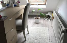 Apartament la casă cu curte privată - Velenta