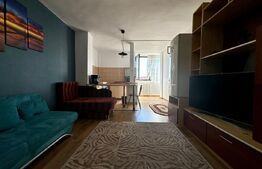 Garsonieră etaj 6, zona Parcului Olosig