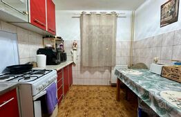 Apartament 2 camere decomandat, parter înalt - zona Rogerius
