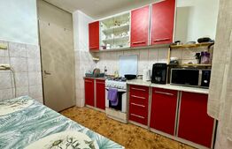 Apartament 2 camere decomandat, parter înalt - zona Rogerius