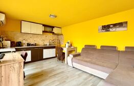 Casă de închiriat, 61.40 mp + 480 mp teren -  Episcopia Bihorului