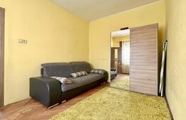 Casă de închiriat, 61.40 mp + 480 mp teren -  Episcopia Bihorului